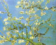 Blossomong Almond Tree, Vincent Van Gogh